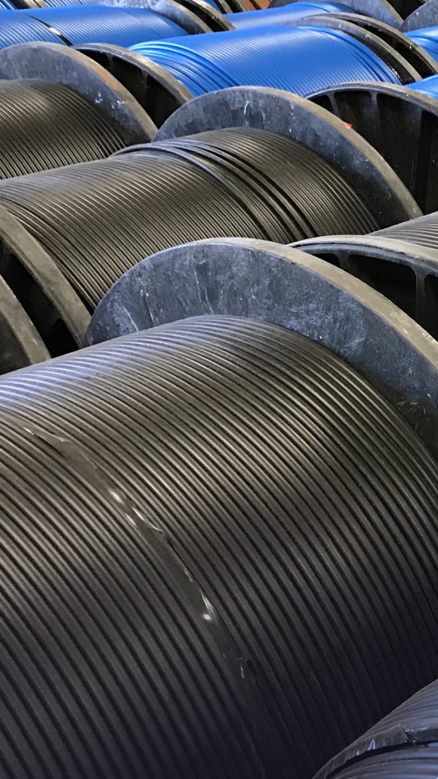 environmental sustainability